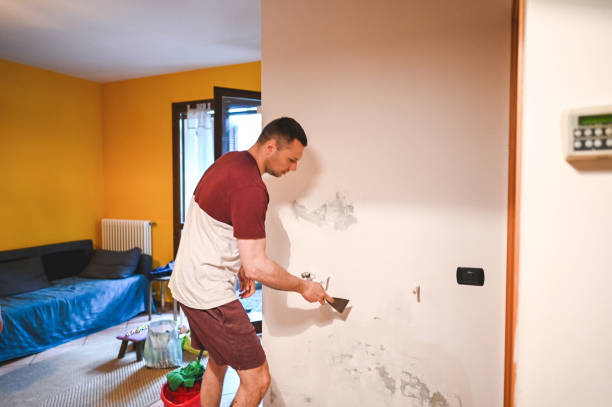 Best Commercial Mold Remediation in Easton, MD